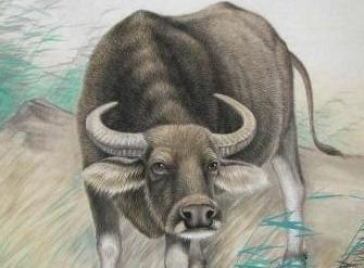 6月7日開始，這些生肖，頭獎瘋狂中不停！ 