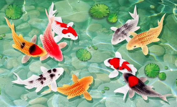 算命大師：6月大難已過，即將撞好運的生肖，鹹魚大翻身！ 