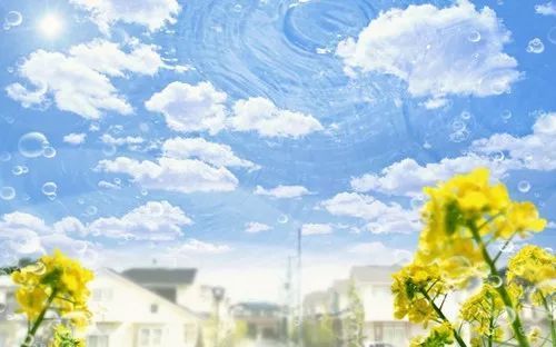 零容忍！這3個星座不能原諒背叛！ 