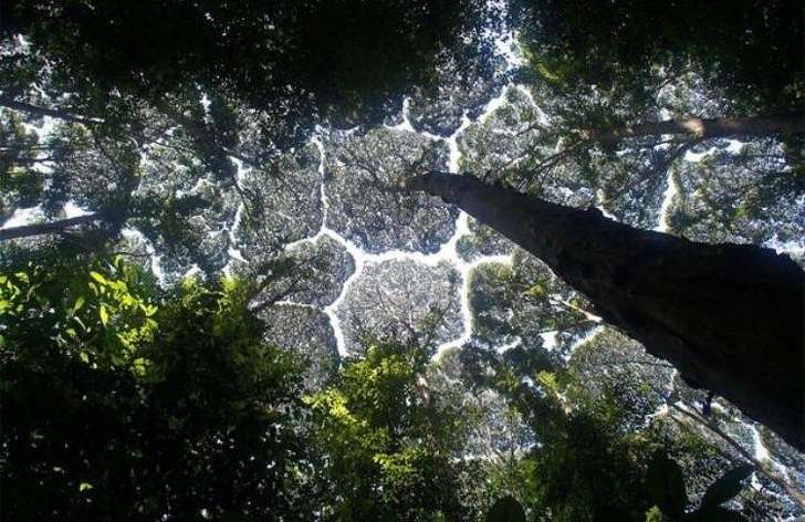 25張讓你瞬間變「佛系內心」的頂級療癒照