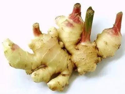 「冬吃蘿蔔夏吃薑」，姜到底怎麼吃療效最好？