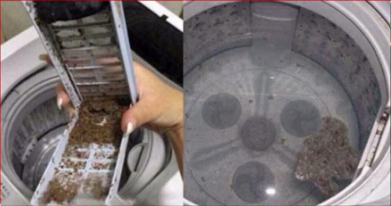 洗衣機60天不洗 細菌比馬桶還多！教你一個小方法 1年不用清洗都很乾凈