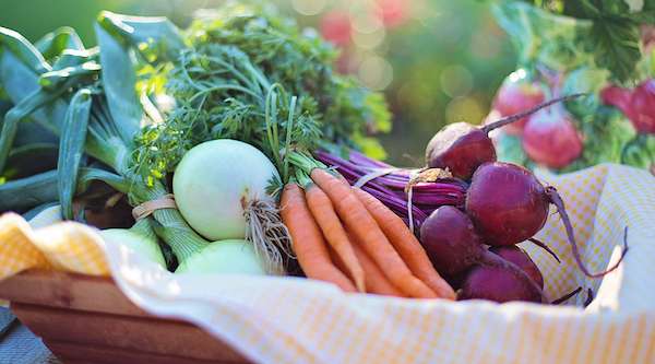 國外瘋吃「甜菜根」預防失智　專家：台灣人吃紅火龍果就OK
