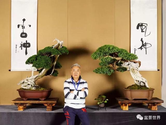 盆景藝術大師史佩元作品欣賞 讓人賞心悅目