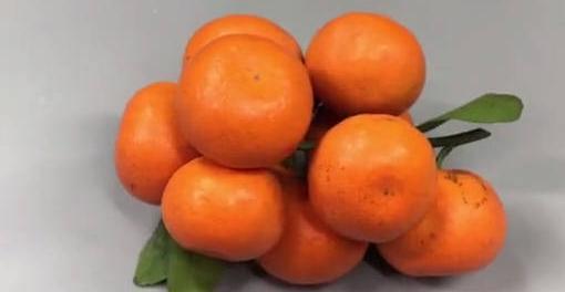 橘子味洗碗精誰還花錢買？只需要不值錢的這個，就能做一大罐，重點是無添加很安全！ 