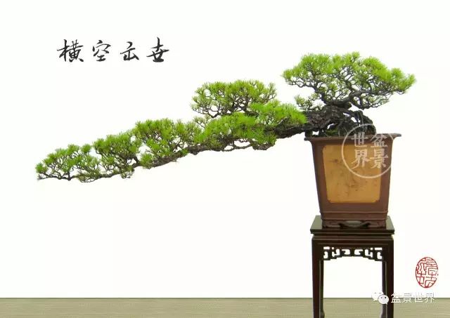 一景方成已十秋 ~~~
