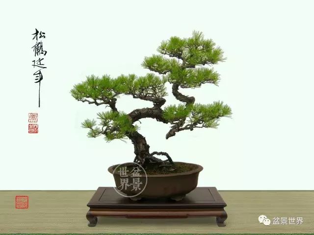 一景方成已十秋 ~~~