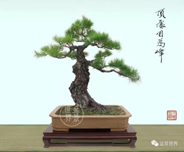 一景方成已十秋 ~~~