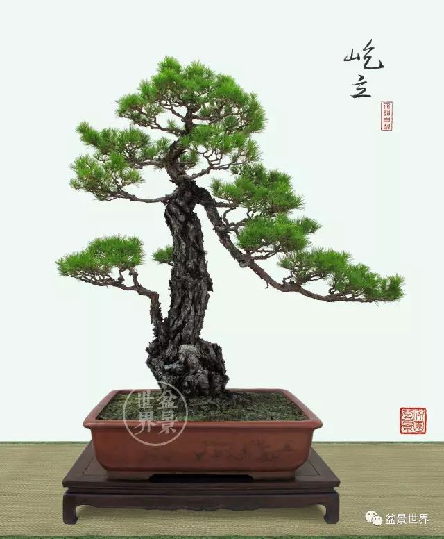 一景方成已十秋 ~~~