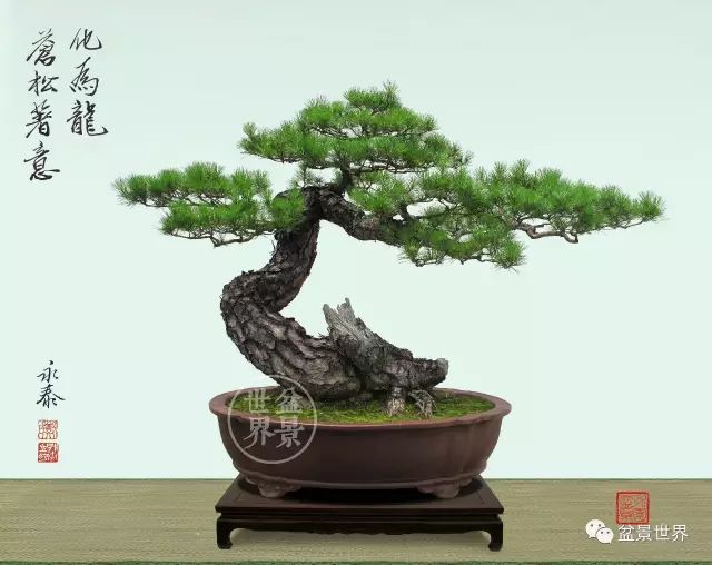 一景方成已十秋 ~~~