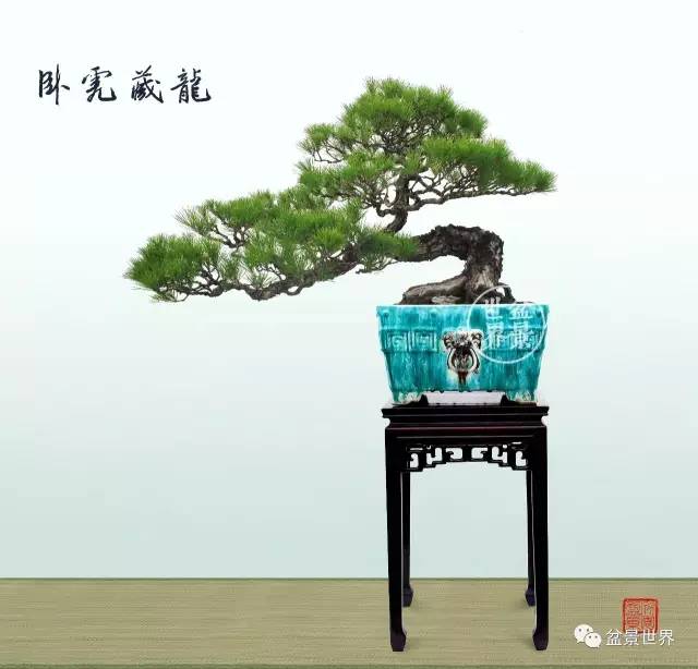 一景方成已十秋 ~~~