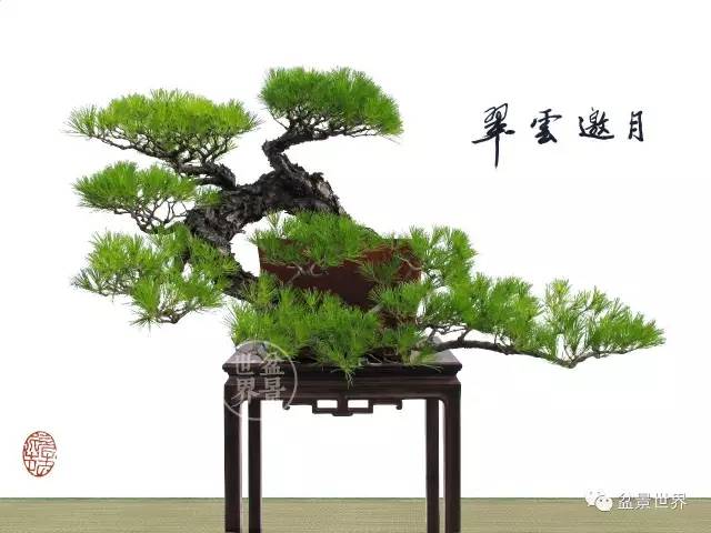 一景方成已十秋 ~~~