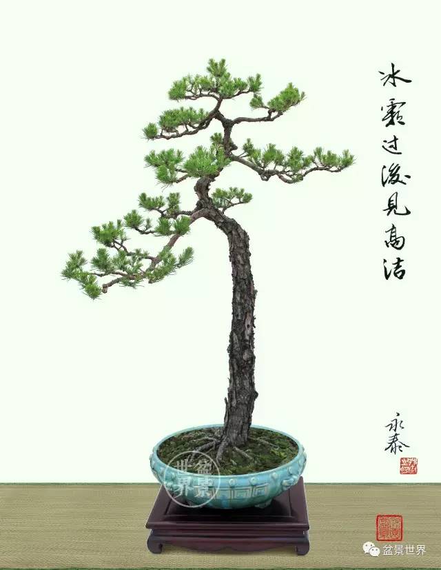 一景方成已十秋 ~~~