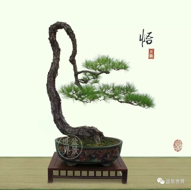 一景方成已十秋 ~~~