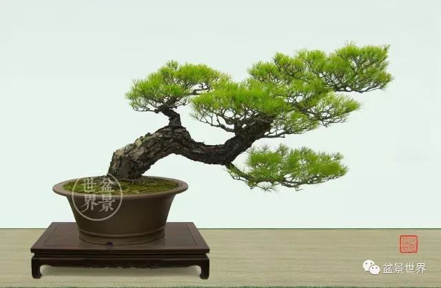 一景方成已十秋 ~~~