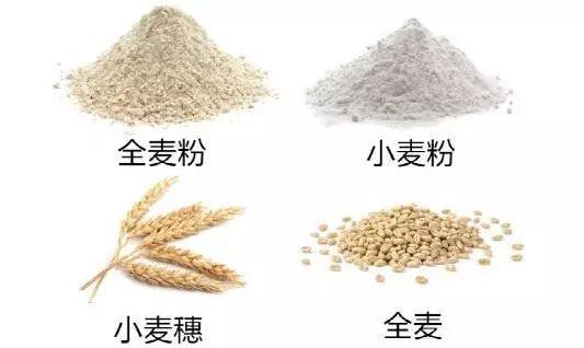 你吃的全麥麵包99%都是假的，因為如果真是全麥…… 