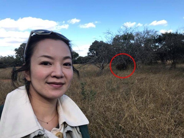大像在哪裡？小S非洲遊玩曬照被玩壞變大家來找茬 