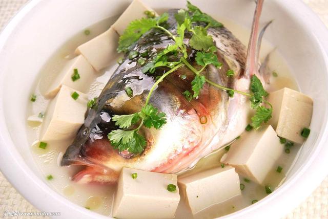 喜歡吃豆腐的看過來，各種豆腐做法，美味營養吃不膩