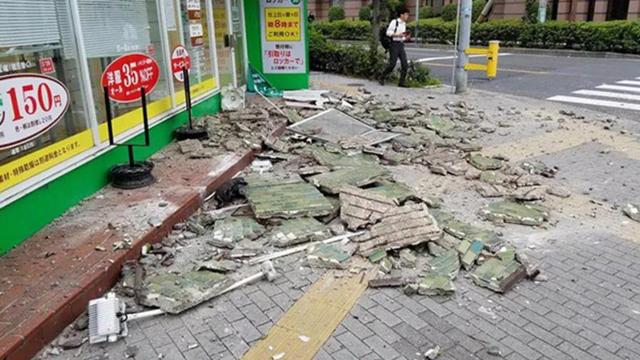 大阪6.1級大地震，京都鹿群離家出走，但貓咪等動物的表現很淡定
