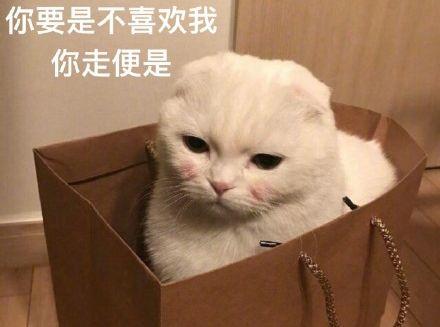 男友當初說「養貓就分手」！某天一開門卻「撞見他跟小三」抱緊緊...冷淡瞥一眼：喔妳回來了！ 