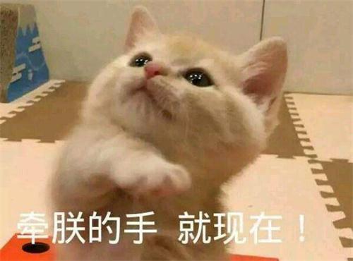 男友當初說「養貓就分手」！某天一開門卻「撞見他跟小三」抱緊緊...冷淡瞥一眼：喔妳回來了！ 