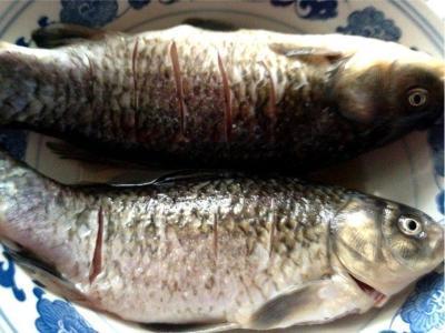 健康小知識！鯽魚去腥味做出美味鯽魚湯，只需幾招，很簡單！