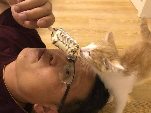 出差將貓咪交給老爸，回來時發現，我是給我爸找了個小情人啊