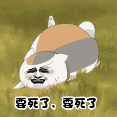 小奶貓失蹤了，翻箱倒櫃，直到扒開貓爸爸的屁屁… 