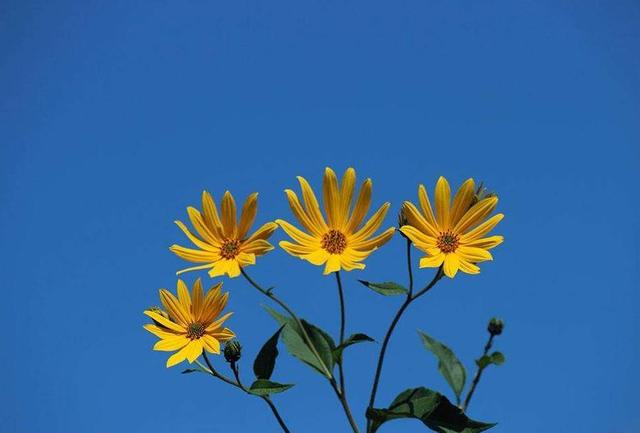 這幾個生肖：22.23.24號3天內一夜暴富，你的貴人來了，別錯過！    