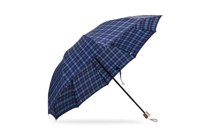 心理測試：假如下雨，你會選哪把雨傘？測今年你能否財運滾滾來？ 