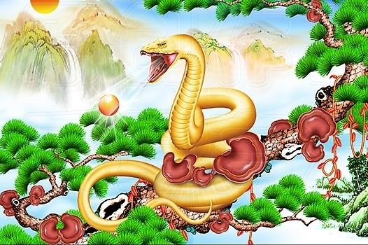 六月底「左升官，右發財」的4大生肖：買車買樓全款不差錢！ 