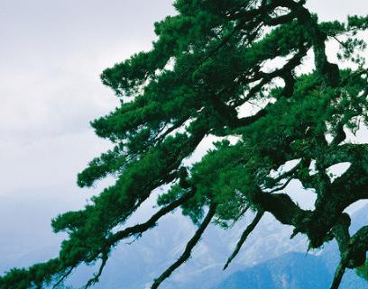 偷偷告訴你：6月21 22 23號這些生肖，財運好到爆！錢多得塞不進錢包啊！    