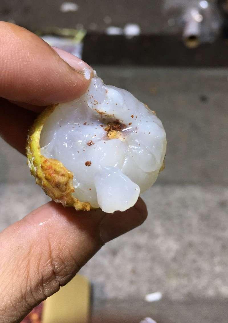 荔枝「蒂頭發黑」不要直接吃　水果攤販：那是蟲糞代表裡面有蟲了 