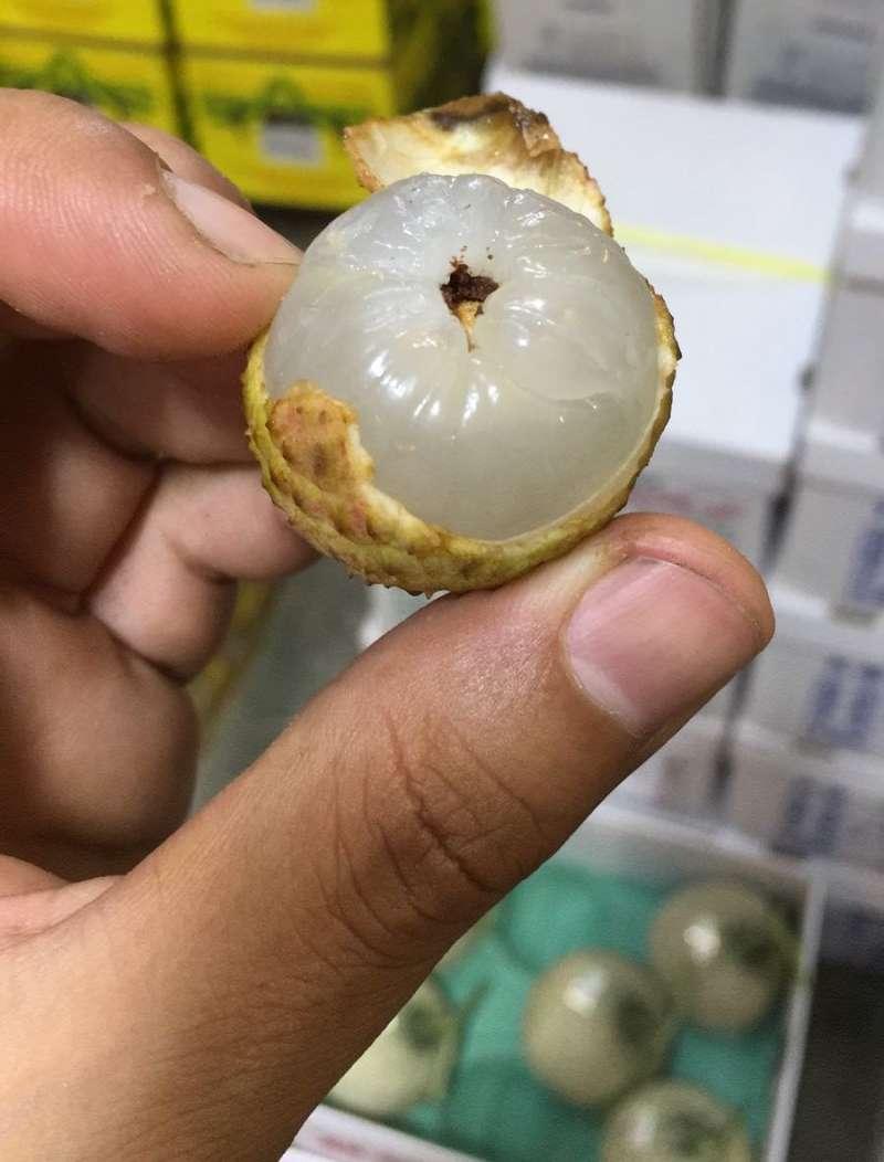 荔枝「蒂頭發黑」不要直接吃　水果攤販：那是蟲糞代表裡面有蟲了 