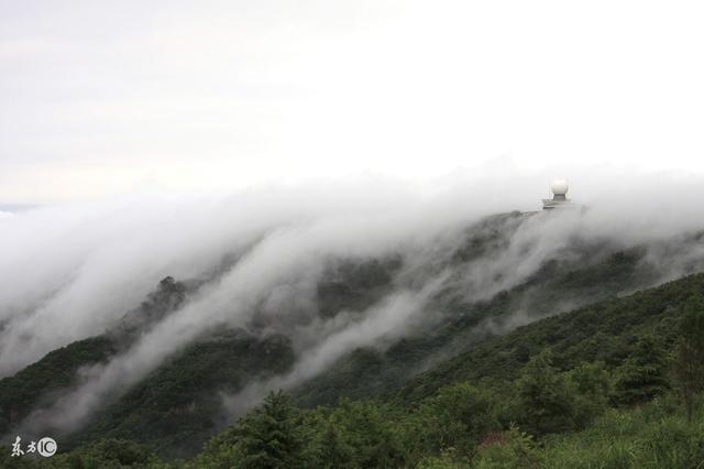 這六大生肖，20日到6月底與橫財有緣！是全家人的搖錢樹！ 