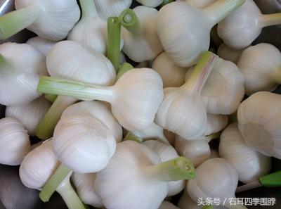 不用鹽，不用水，不用洗，不用晾，教你腌出美味的糖醋蒜
