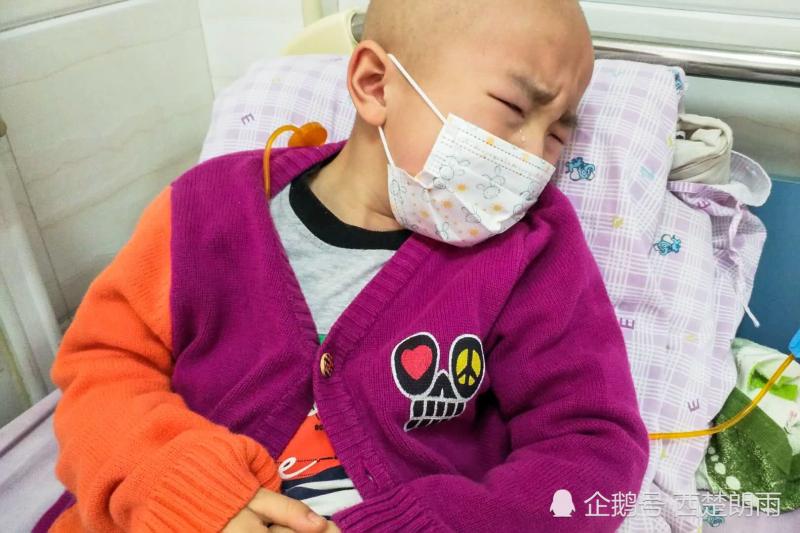 神母瘤男童又患白血病世界罕見 ，孩子疼痛難忍，在病床上痛哭干苦力背娃採茶全家搏命救孩子