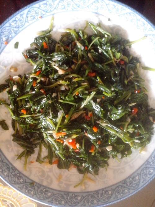 蒲公英的食用方法及藥效