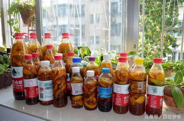 誰說「果皮、蟲啃菜葉」無用處？高手回收利用做出「超強酵素清潔劑」天然無毒環保又安心