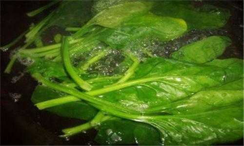 蔬菜生吃好、還是炒熟了吃好？營養師：4種蔬菜生吃小心食物中毒