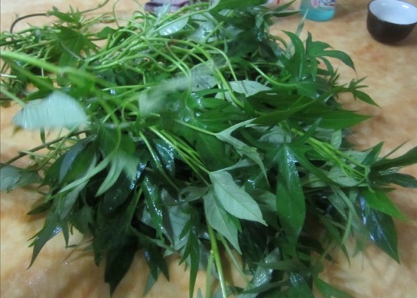 夏天家裡常炒它，清淡消暑！阿基師教你炒地瓜葉「不變黑」秘訣！可惜超少人知道！一定要分享出去！！ 