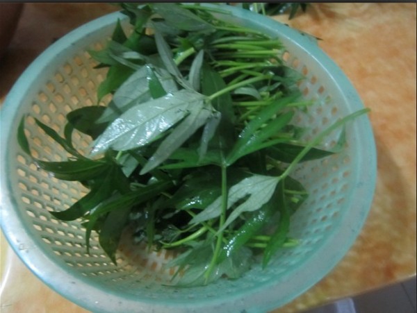 夏天家裡常炒它，清淡消暑！阿基師教你炒地瓜葉「不變黑」秘訣！可惜超少人知道！一定要分享出去！！ 