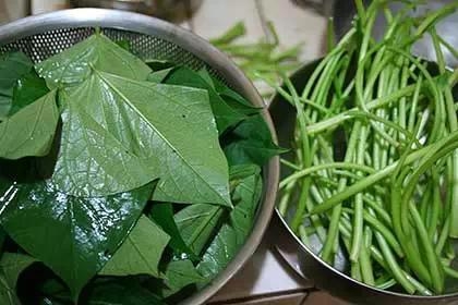 夏天家裡常炒它，清淡消暑！阿基師教你炒地瓜葉「不變黑」秘訣！可惜超少人知道！一定要分享出去！！ 