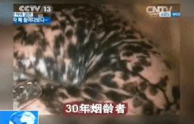 睡前喝了「它」，徹底排出10年菸草毒！（有緣看到請轉發收藏，功德無量！）