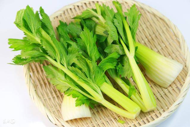 這六種食物，不適合與芹菜一起吃