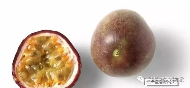 各種水果功效大全，讓你吃的明白吃的放心！