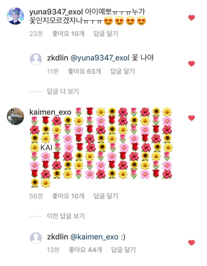 [EXO][新聞]180621 「花就是我呀」可愛終結者鐘仁妮ins翻牌粉絲！ 