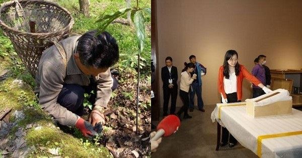 農民上山採藥撿到一枚金屬片，國家無償收走，現在成國寶，禁止對外展出！ 