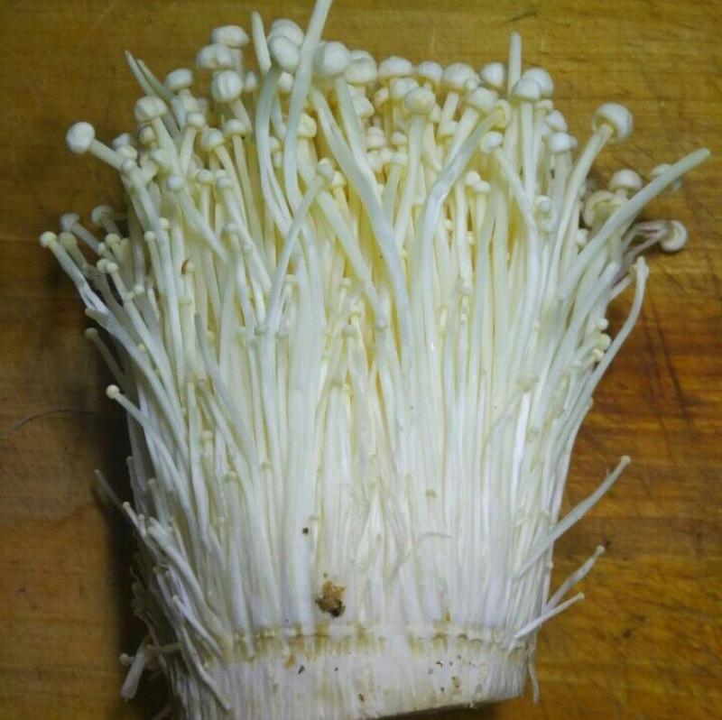 叔叔在餐廳做廚師，我們每次去吃飯的時候，爸爸都會叫叔叔做「涼拌金針菇」只因叔叔做的金針菇是這樣做的！超級好吃！ 