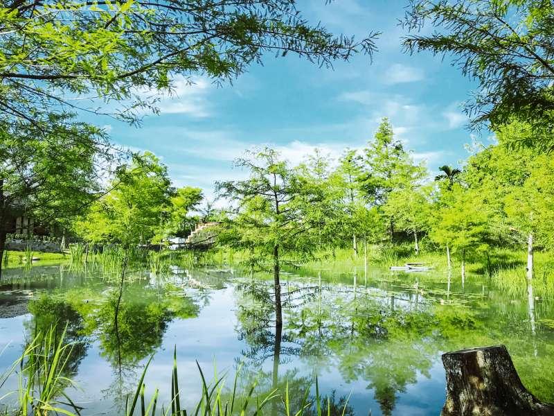 根本是《魔戒》裡小木屋！　花蓮「最美打卡咖啡廳」7月終於正式開幕